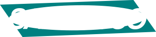 SAEDACCO logo